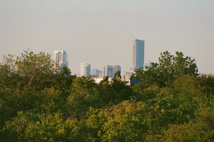 Skyline, golden hour