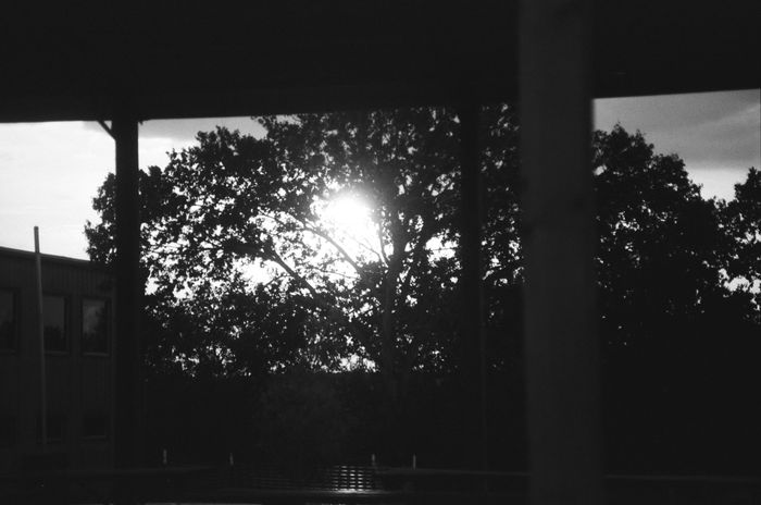 Sunburst