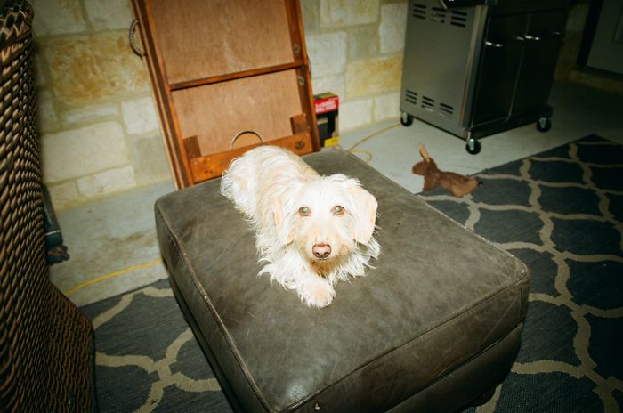 Ottoman