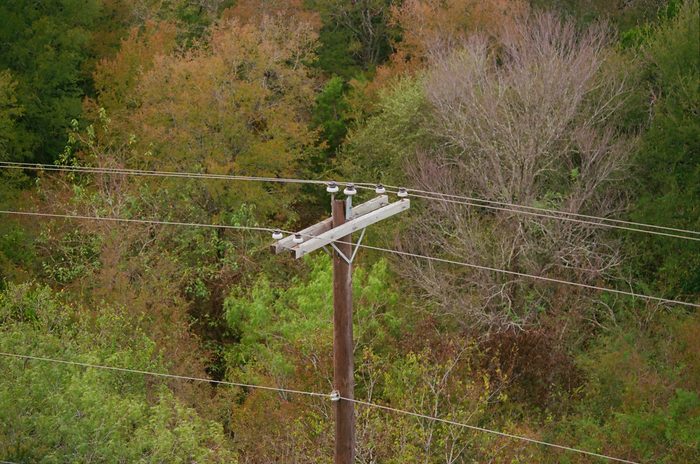 Power line